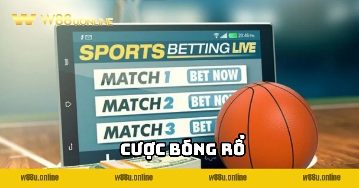 anh-dai-dien-cuoc-bong-ro-w88