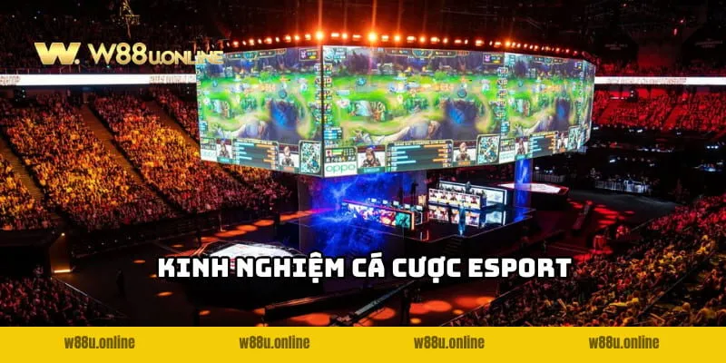 Bí kíp chơi Cá cược Esport W88 không biết sợ thua