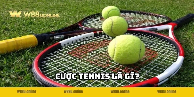 Đôi nét về Cược Tennis W88