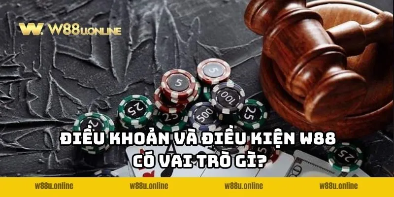 dieu khoan va dieu kien w88 vai tro Điều khoản và điều kiện W88 có vai trò gì?