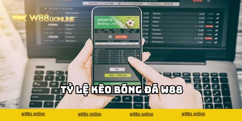 Như thế nào là Tỷ lệ kèo bóng đá W88?